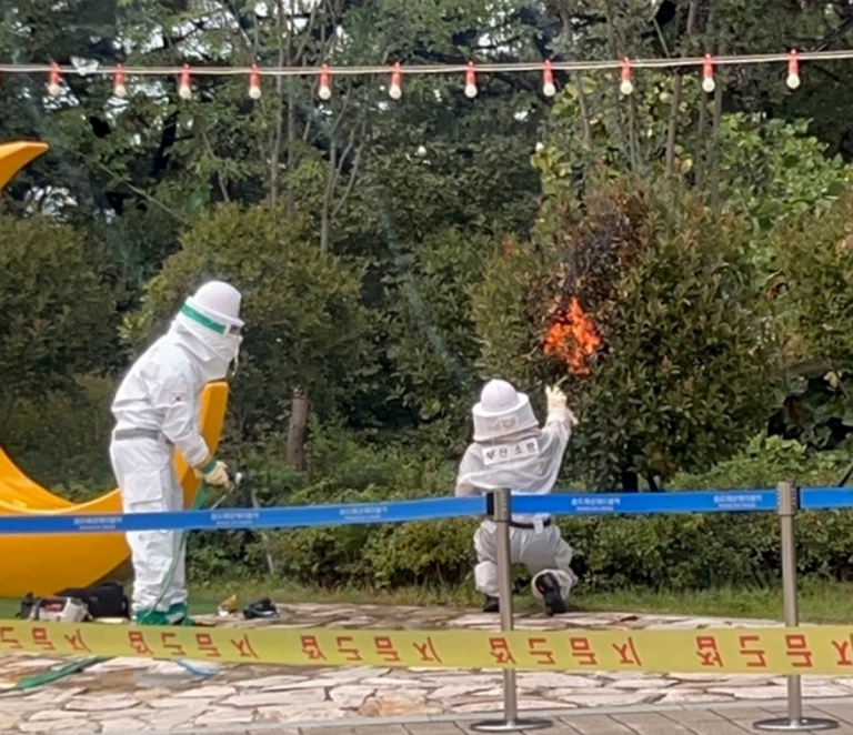 부산 송도케이블카 인근서 관광객 15명 벌에 쏘여…2세 아이도 피해 1 image 12